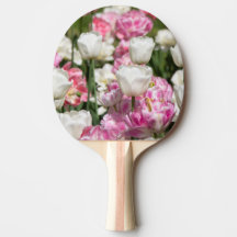 Ljusvita och rosa tulpaner på en solig dag