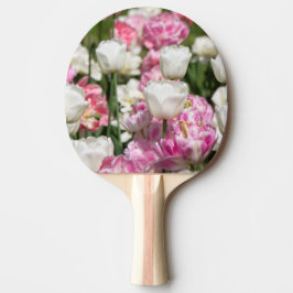 Ljusvita och rosa tulpaner på en solig dag pingisracket