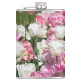 Ljusvita och rosa tulpaner på ett soligt fickplunta