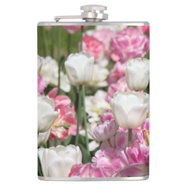 Ljusvita och rosa tulpaner på ett soligt fickplunta (Framsidan)