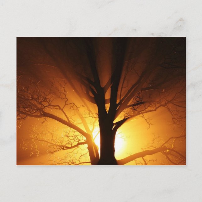 Ljusvykort Vykort (Framsida)