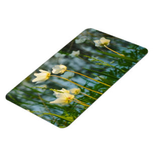 LJUVLIG BLOMMIG MAGNET