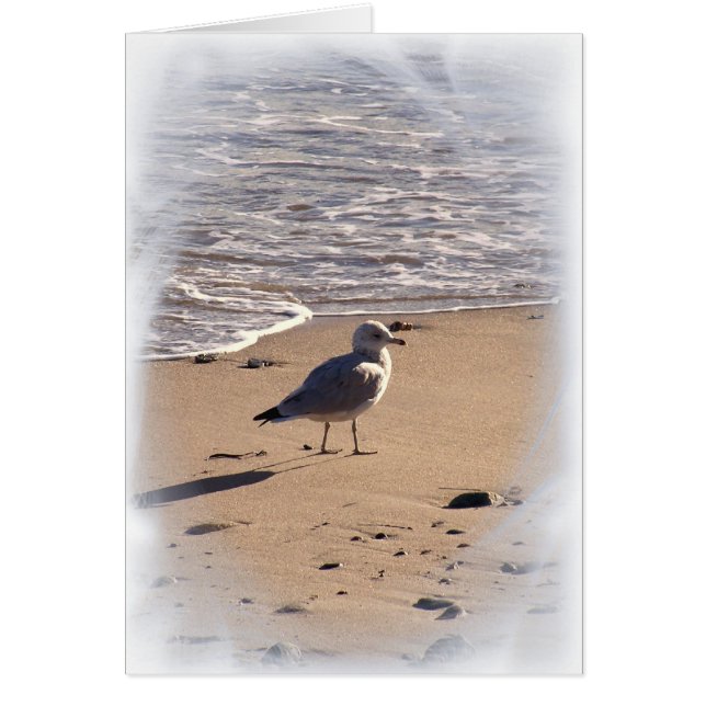 Lkes Long Walks på Beach.. OBS Kort (Framsidan)