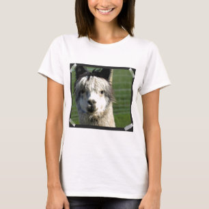 llama-4 tee