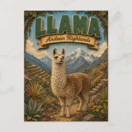 Llama Alpaca Andean Highlands POPCUT Vykort