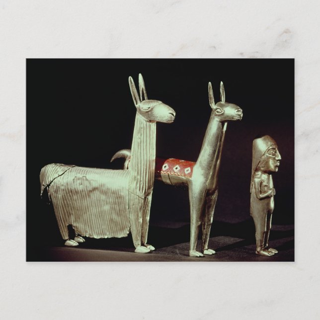 Llama, alpaca och kvinna vykort (Framsida)