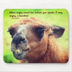 Llama Anger Management Citate Inspirational Musmatta