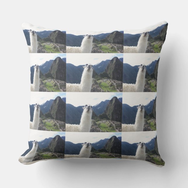 Llama Animal Anpassningsbar Destiny's Destiny Kudde (Framsida)