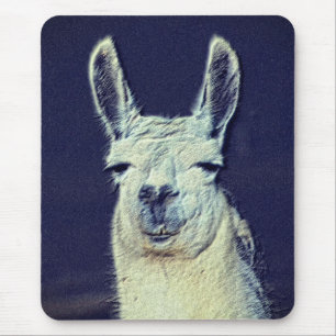 Llama Ansikte Digital Pencil Art Musmatta