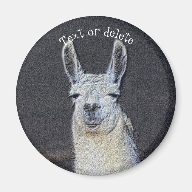 Llama Ansikte Djur Konst Personlig Magnet (Framsidan)