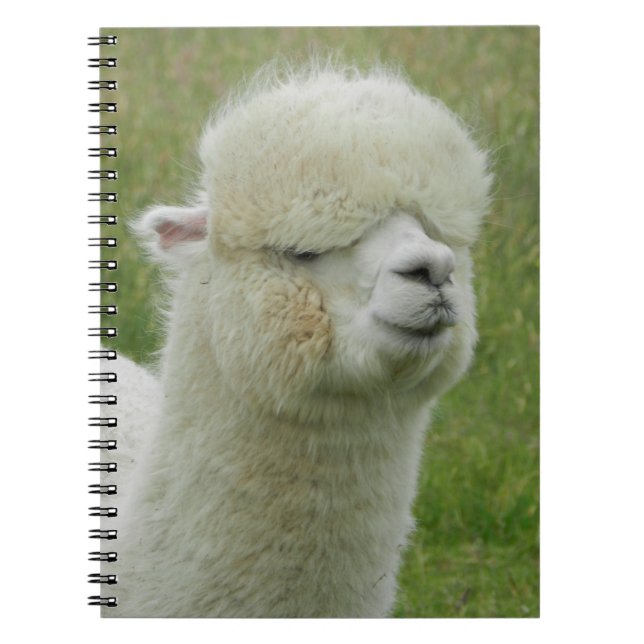Llama Anteckningsbok (Framsidan)