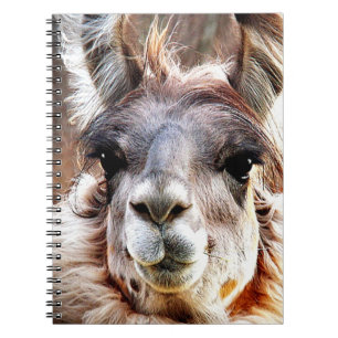 Llama Anteckningsbok Med Spiral