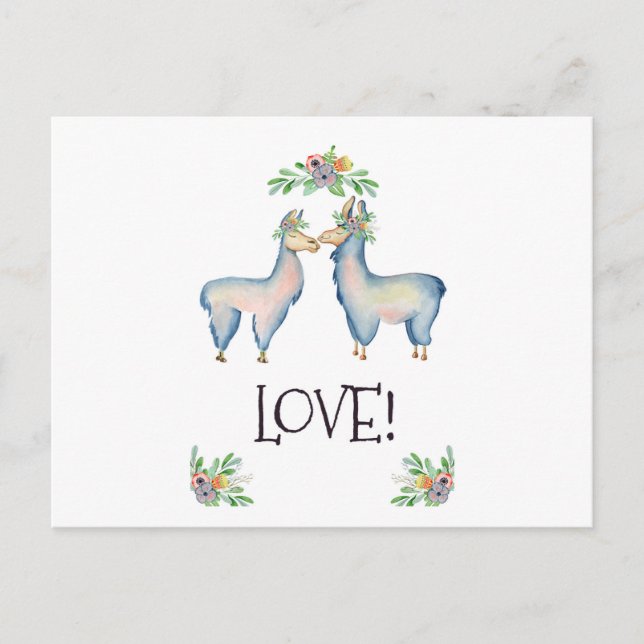 Llama är i Kärlek Vykort (Framsida)