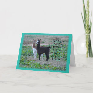 Llama Baby-kort Kort