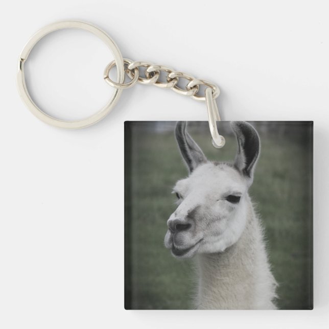 Llama badge (Framsidan)