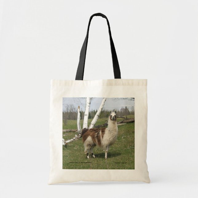 Llama Bag Tygkasse (Framsidan)