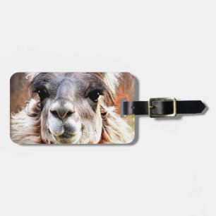 Llama Bagagebricka