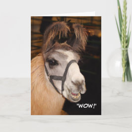 Llama Birthday Card Kort