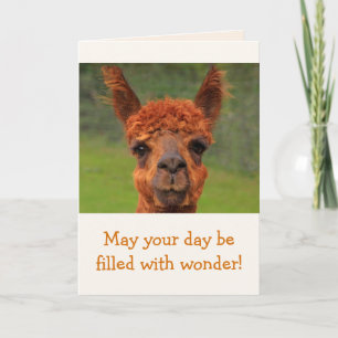 Llama  Birthday Kort