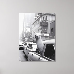 Llama Canvas Wall Art