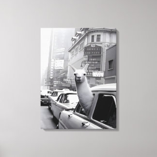 Llama Canvas Wall Art