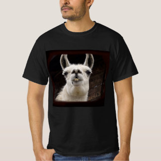 Llama Drama – Ich hab dich im Blick T Shirt