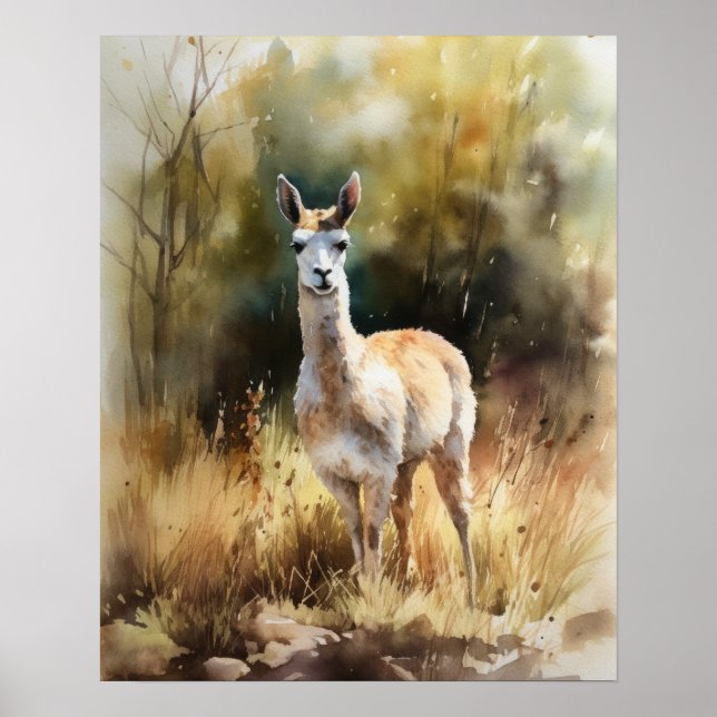 Llama Farm Animal Art Print Poster (Framsidan)