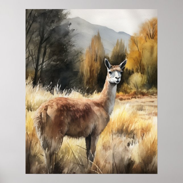 Llama Farm Animal Art Print Poster (Framsidan)