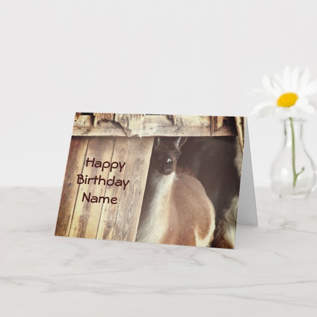 Llama Farm Animal Personlig Birthday Card Kort (Liten växt)