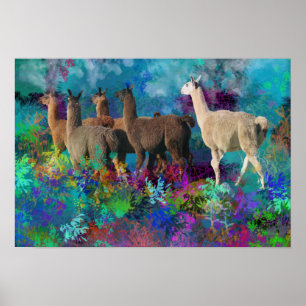Llama Fem Walk i Fantasy Land för Camelids Poster