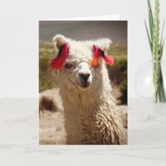 Llama, födelsedag kort