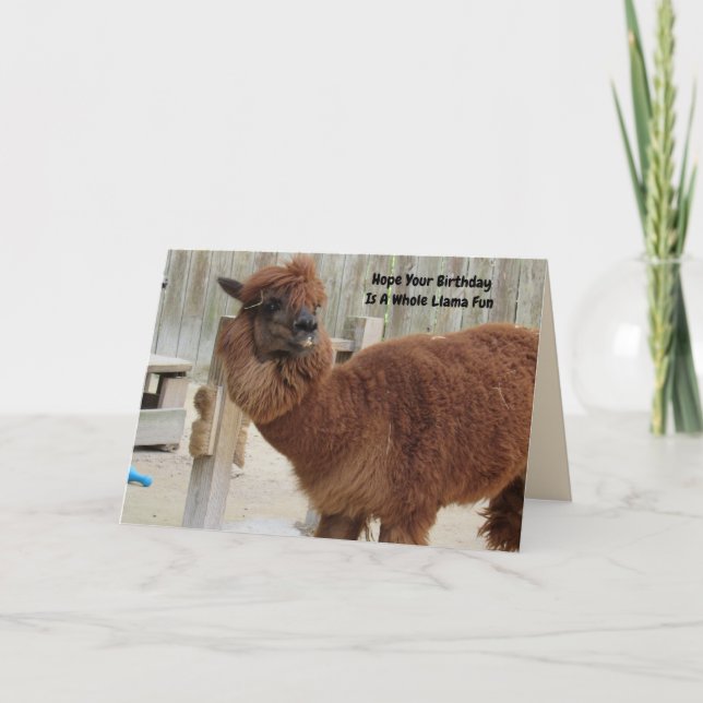 Llama-födelsedagskort Kort (Framsida)