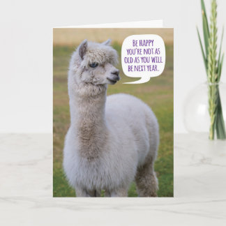 Llama-födelsedagspresenten Dolly Llama Kort