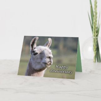 Llama för årsdag för årsdag |Happy för Llama Kort