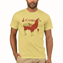 Llama för ¿ Como Se? Modeutslagsplatsen med