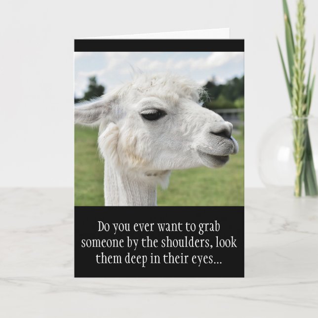 Llama-foto med skämt kort (Framsida)