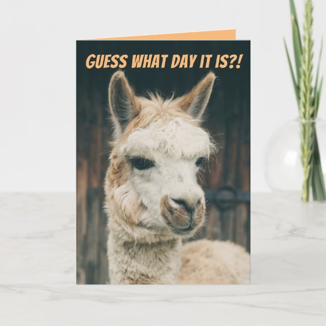 Llama - Gissa vilken dag det är - inte Hump Day Kort (Framsida)