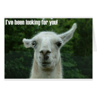llama hälsningskort
