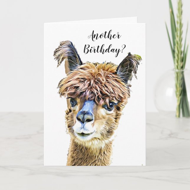 Llama Humor födelsedag Kort (Framsida)