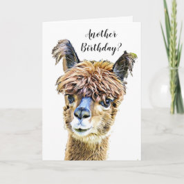 Llama Humor födelsedag Kort