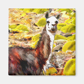 Llama i Andes Mountain Peru Magnet