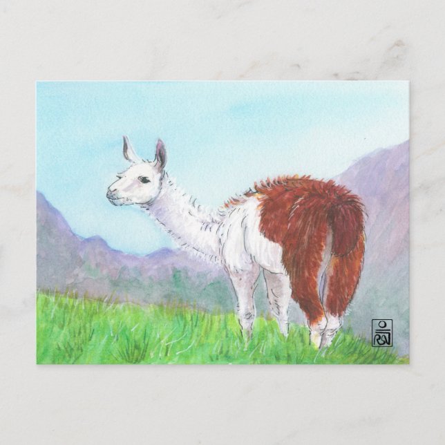 Llama i Andes Vykort (Framsida)