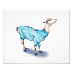 Llama i Blue Sweater Fototryck