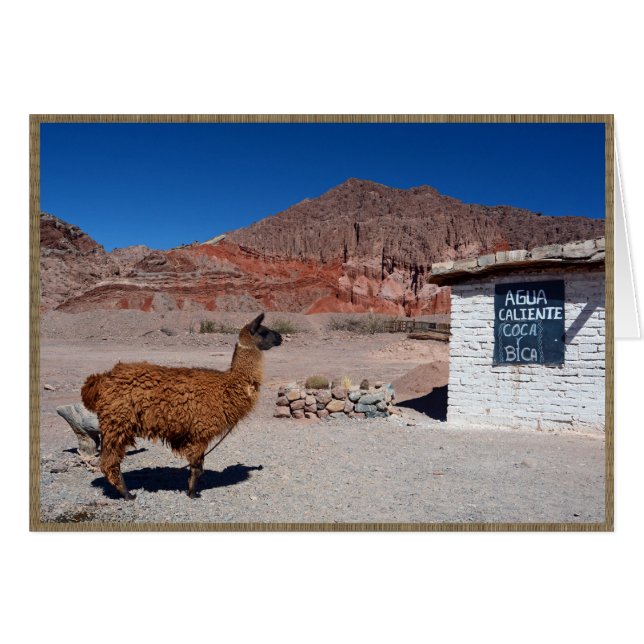 Llama i Quebrada de Cafayate, Argentina Hälsningskort (Framsidan Horizontal)