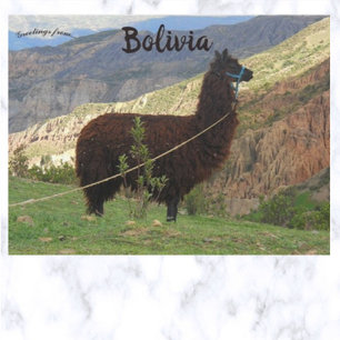 Llama i Souls Bolivia-dalen Vykort