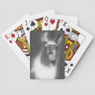 Llama i svart och vitt lantbruksdjur casinokort