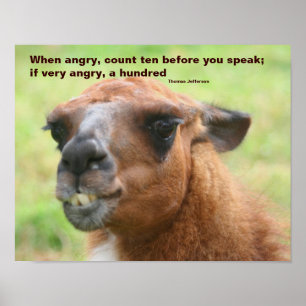 Llama Ilquote Inspirational Poster