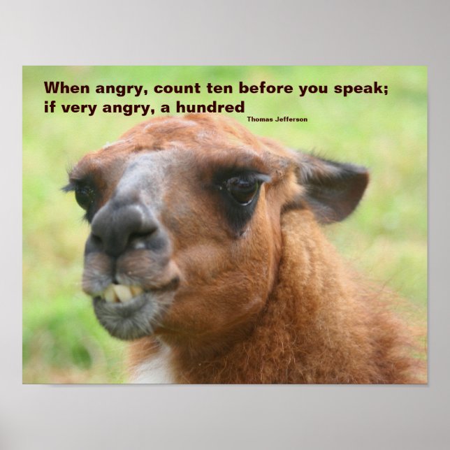 Llama Ilquote Inspirational Poster (Framsidan)