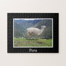 Llama Inca Trail Cusco Peru Andes Mountains Inka