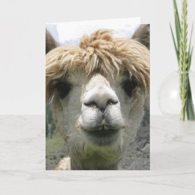 LLAMA JAG ÄLSKAR DIG KORT. KORT (Framsida)